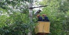 Надежное электроснабжение к концу года получат жители Ленинского района ЕАО пресс-служб филиала &quotэлектрические сети ЕАО"