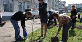 Ломоносовская рябиновая аллея высажена в память о великом ученом в Биробиджане Владимир Иващенко