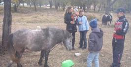 Передвижной зоопарк из Пятигорска приехал в Биробиджан Наталья Мурье