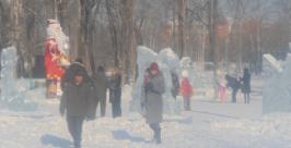 Большинство жителей Биробиджана встретили Новый год в кругу семьи Юрий Скачков