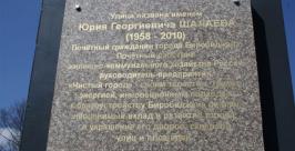 Улицу имени Почетного гражданина города Юрия Шалаева открыли в Биробиджане Владимир Иващенко