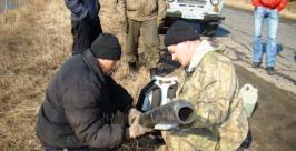 Пожарно-тактические учения по подготовке к пожароопасному весенне-летнему периоду пресс-служба ГУ МЧС России по ЕАО