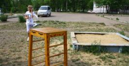 Форпосты по месту жительства открылись в Биробиджане Владимир Иващенко