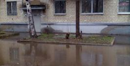 Огромная лужа возле подъезда   Народный корреспондент
