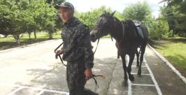 Полевой лагерь на заставе Башурово в ЕАО начал свою работу пресс-служба районной администрации