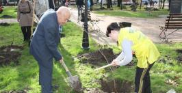 Горожанам предстоит высадить более тысячи саженцев редких растений Владимир Иващенко