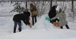 Зимний городок построили родители и дети в Биробиджане Владимир Иващенко