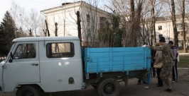 Своеобразная выставка-раздача доставленных за сотни километров растений прошла ранним утром на автостоянке возле мэрии города РИА EAOmedia
