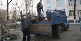 Элитные саженцы доставлены в Биробиджан из села Кипарисово Приморского края РИА EAOmedia