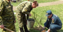 Здесь были саженцы березы, рябины, пихты и другие деревья и кустарников Пресс-служба ГУ МЧС России по ЕАО