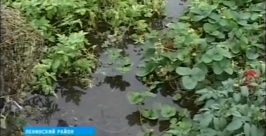 Вода уже в огородах жителей села  ГТРК Бира