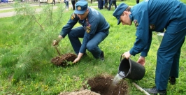 Посадка саженцев Пресс-служба ГУ МЧС России по ЕАО