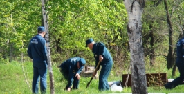 Посадка саженцев на аллее в парке Пресс-служба ГУ МЧС России по ЕАО