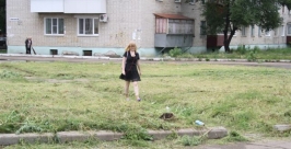 Скошено, но не убрано Владимир Иващенко