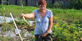Вера Молокова &quotсобирает урожай&quot в болотниках Баграновская Наталья, ИА EAOmedia