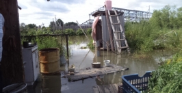 Огороды превратились в болото в Биробиджане Из личного архива
