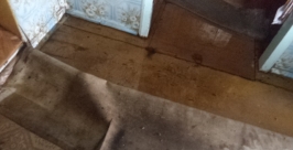 Воде в огородах стало тесно Из личного архива