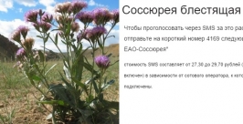 Евреи и соссюреи зарифмовались у участника онлайн-голосования &quotЗеленый символ ЕАО&quot скриншот страницы в Интернете