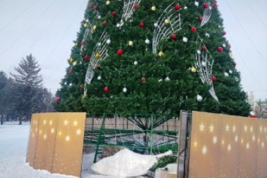 Вандалы повредили новогоднее оформление на главной городской ёлке в Биробиджане