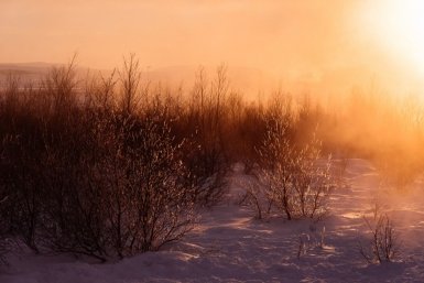 Тематическое фото pxhere.com