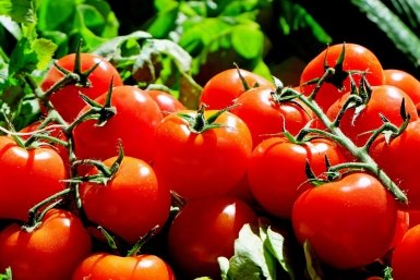 Тематическое фото pxhere.com (18+)