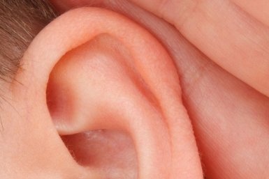 Тематическое фото pxhere.com