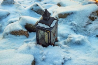 Тематическое фото pxhere.com