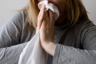 Тематическое фото pxhere.com