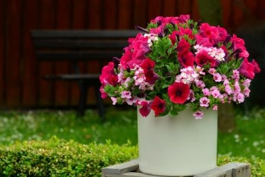 Тематическое фото pxhere.com (18+)