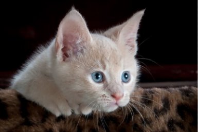 Тематическое фото pxhere.com