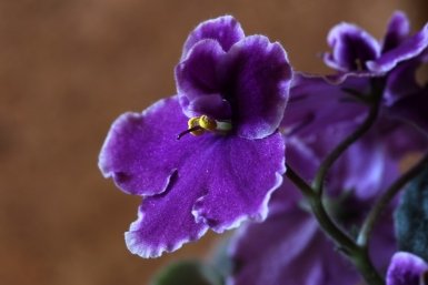 Тематическое фото Pxhere.com