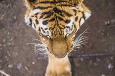 Тематическое фото ИА PrimaMedia