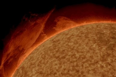 Тематическое фото pxhere.com