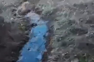 Тематическое фото Амурская бассейновая природоохранная прокуратура