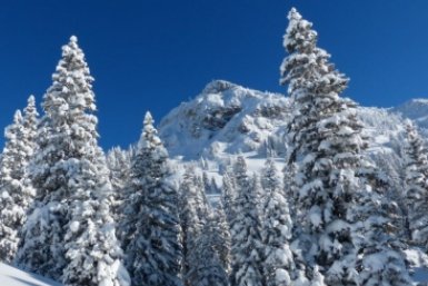 Тематическое фото pxhere.com