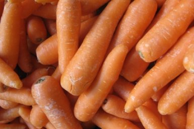 Тематическое фото pxhere.com (18+)