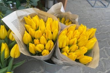 Тематическое фото Артём Хорошилов  , ИА Stavropol.Media