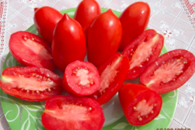 Тематическое фото портал &quottomatland.ru&quot (18+)