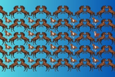 Тематическое фото ИА EAOMedia