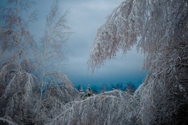 Тематическое фото ИА ЕАОMedia