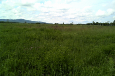 Тематическое фото Россельхознадзор