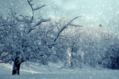 тематическое фото https://pxhere.com/ru/photo