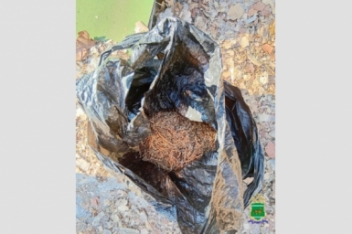 тематическое фото УМВД РФ по ЕАО