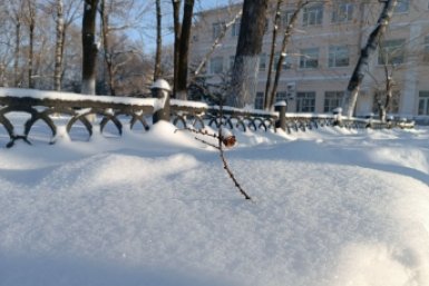 Тематическое фото ИА ЕАОMedia