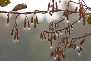 Тематическое фото https://pxhere.com/ru