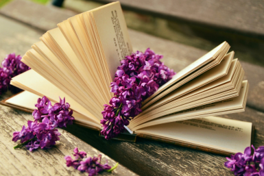 Тематическое фото pxhere (18+)