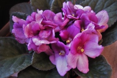 Тематическое фото pxhere.com (18+)