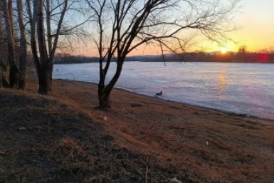 Тематическое фото ИА ЕАОMedia