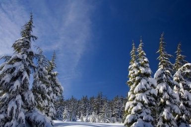 Тематическое фото pxhere.com