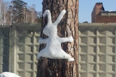 Тематическое фото ИА ЕАОMedia